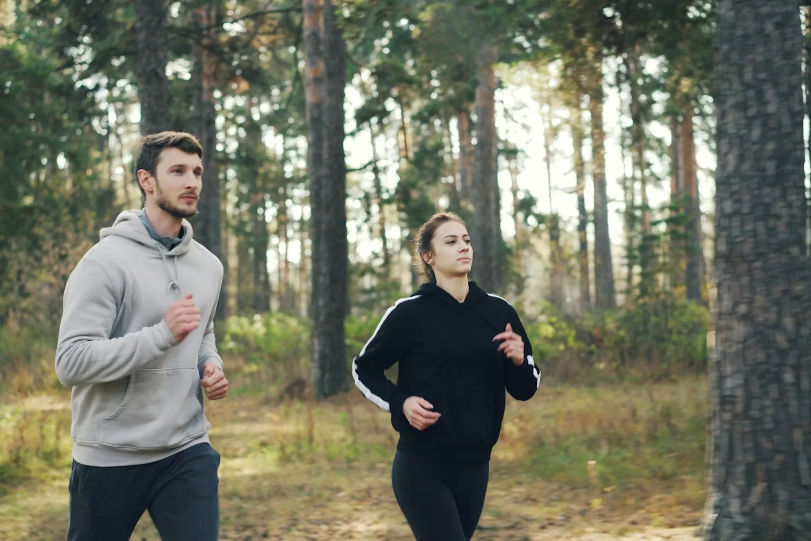 A man and a woman in hoodies jogging side by side through a sunlit pine forest